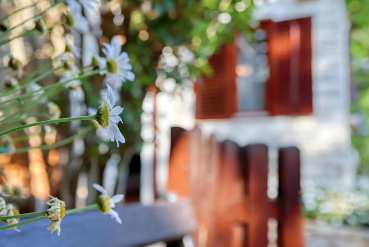 Holiday Home Giardino Marino Pomer Bagian luar foto